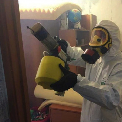 Уничтожение клопов в квартире. Клин